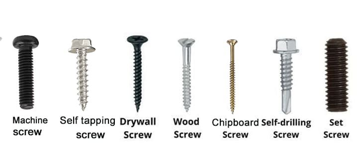 Different Types and Uses of Screws