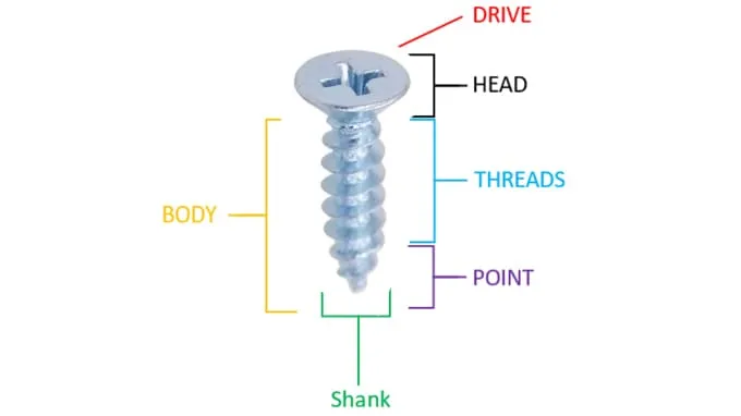 Anatomie de base des vis