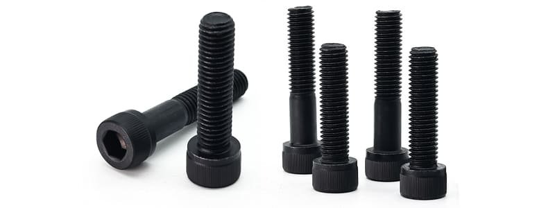 Nut Manufacturers Socket Head Screw