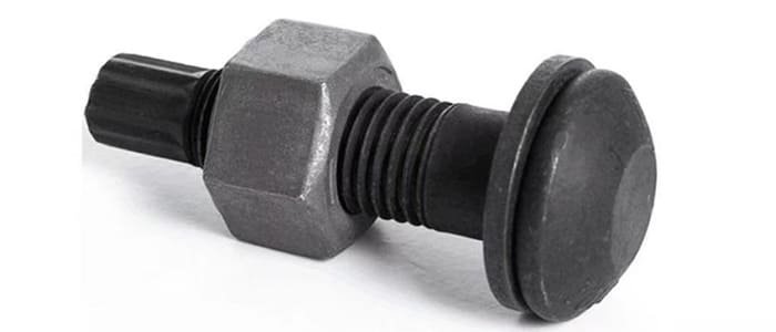 Nut Manufacturers Tension Control Bolt (TC Bolt) manufacturer