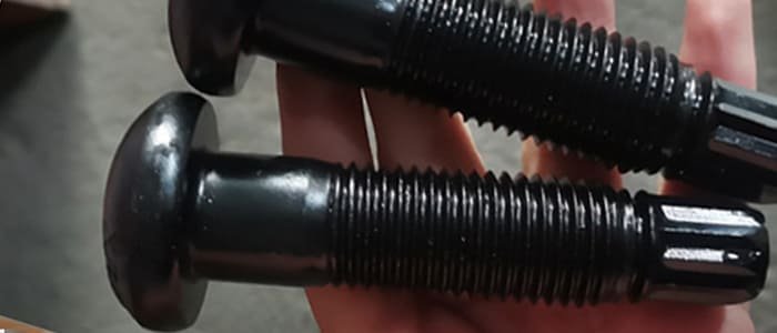 Tension Control Bolt (TC Bolt) supplier