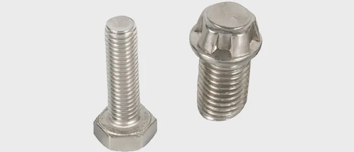 Titanium & Titanium Alloy material