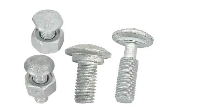 Galvanized bolt Galvanized bolt