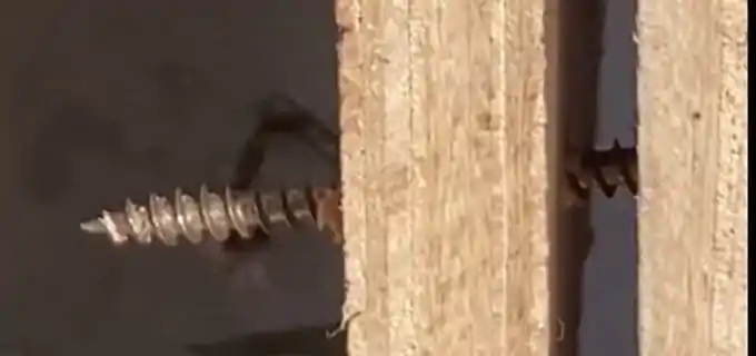 chipboard screw chipboard screw