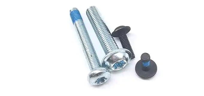 Coated Screws Coated Screws