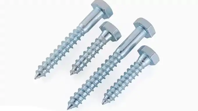 Galvanized Screws Galvanized Screws