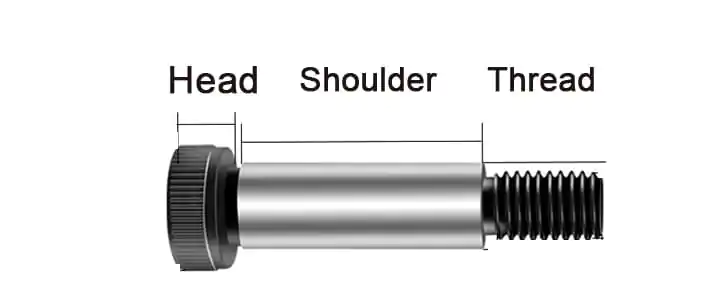 Bolt Anatomy Bolt Anatomy