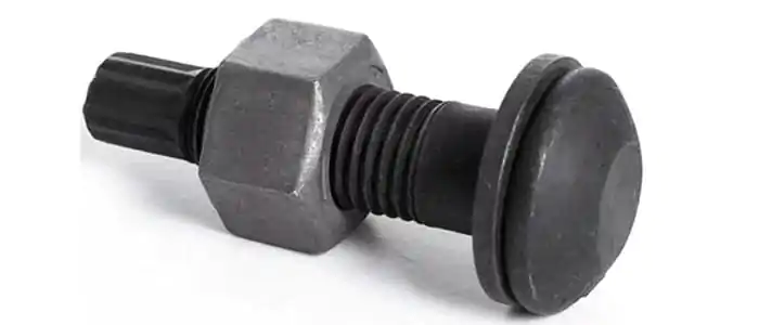 Nut Manufacturers Tension Control Bolt (TC Bolt) manufacturer